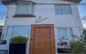 Casa palmera